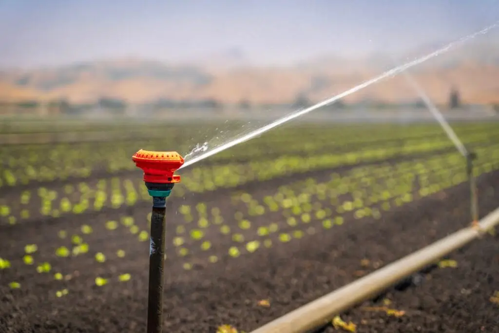 Sistema de riego por aspersión en cultivo agrícola