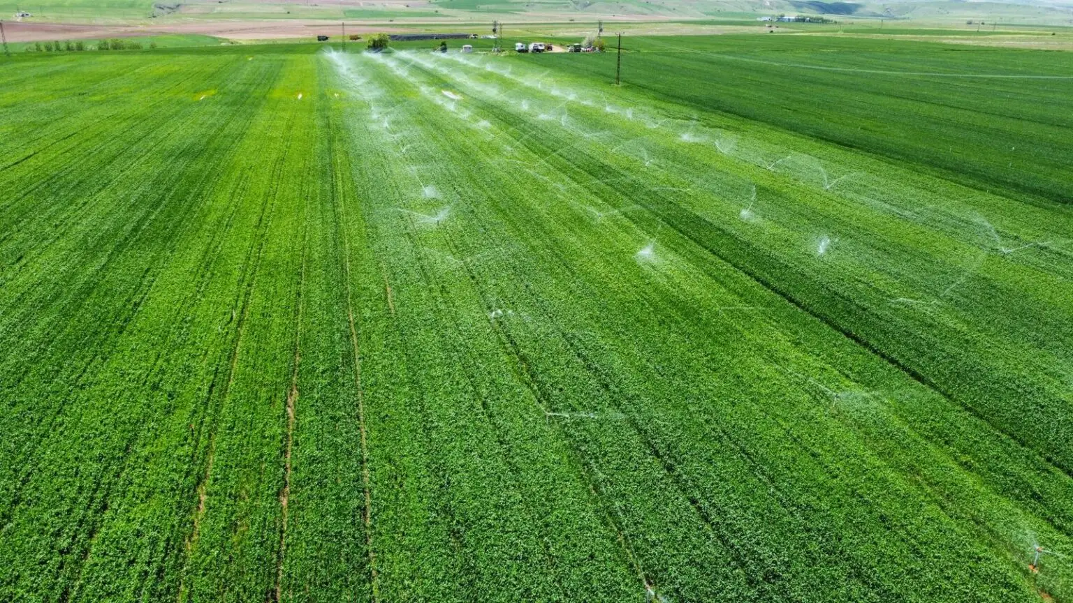 Vista aérea de campo agrícola con sistema de riego por aspersión
